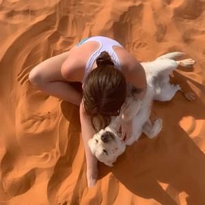 Meet your Posher, Abby